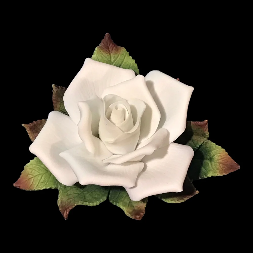 Beautiful Porcelain White Rose 3